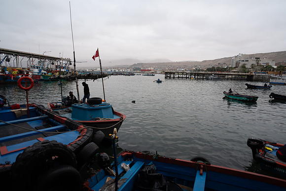 DSC08686