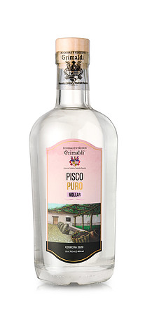 PISCO G MOLLAR 11624