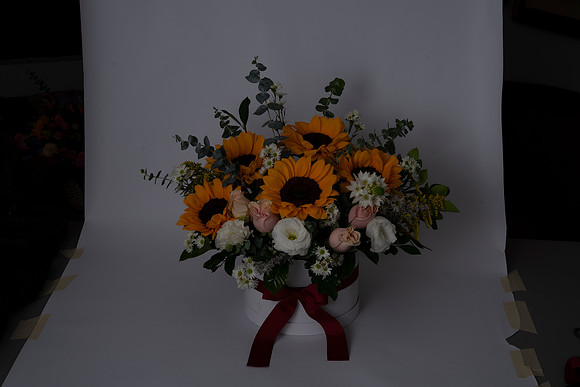 DSC02208
