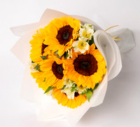 06 GIRASOLES