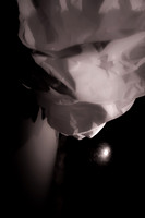 DSC09812-4