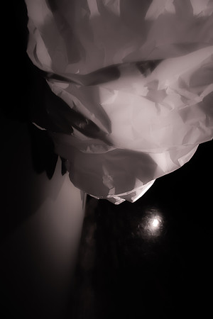 DSC09812-4