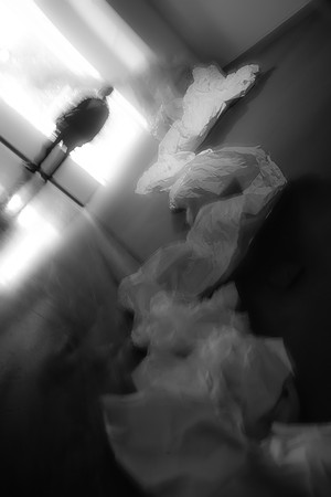 DSC09830-6