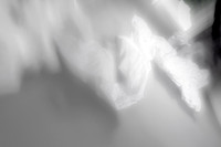 DSC09824-6