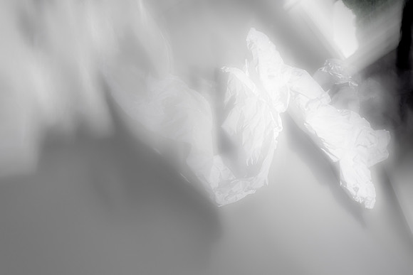 DSC09824-6