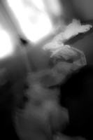 DSC09829-6