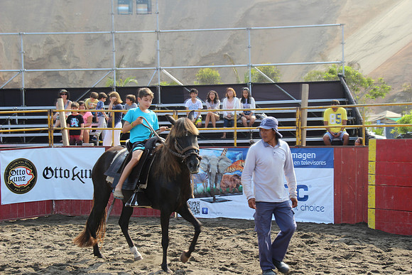 santa regatas 1049