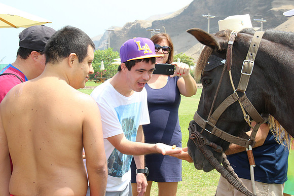 especial 079