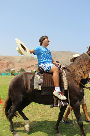 especial 283