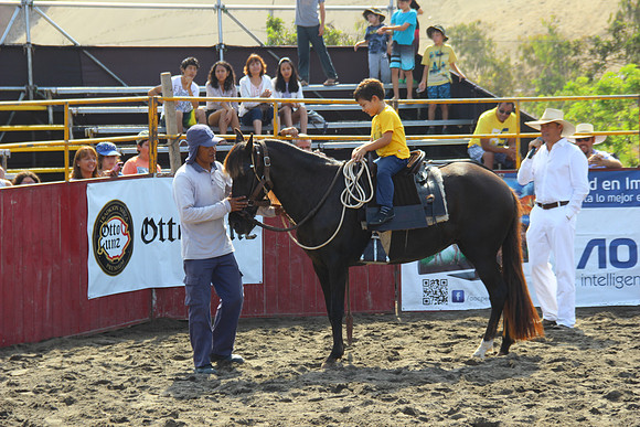santa regatas 1096