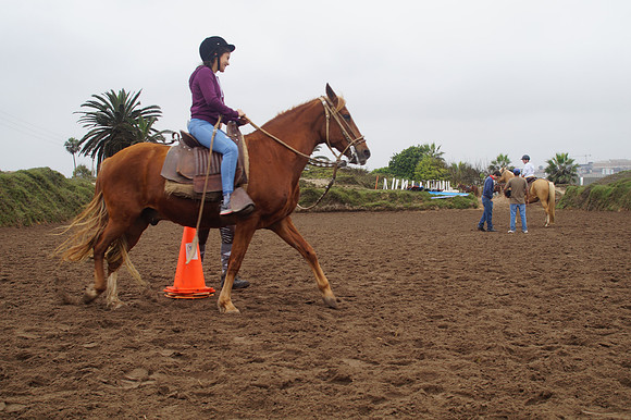 DSC09906