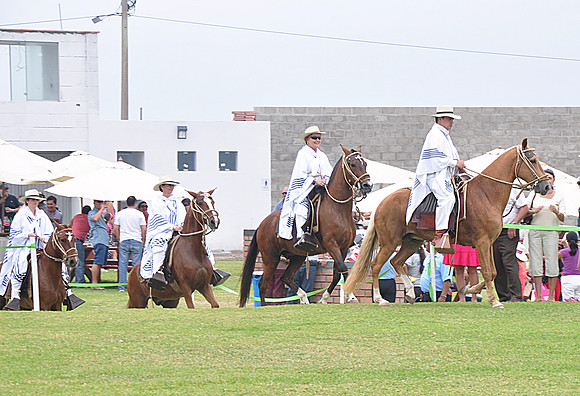 Tradiciones Peruanas 2014 - Sede Villa CRL (343)
