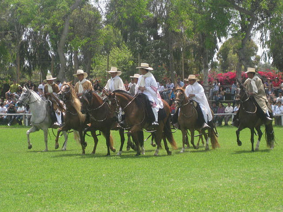 cabalgata 3era Semana 167