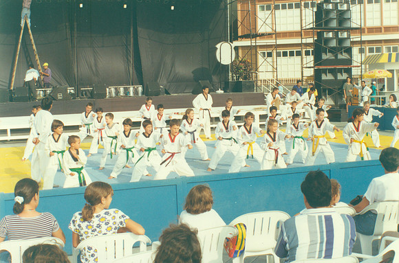 IMG (4271) (Copiar)