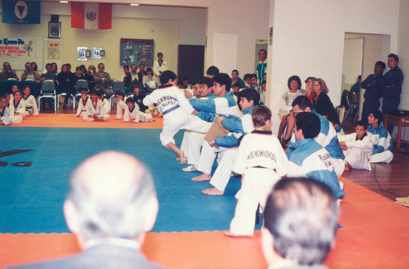 IMG (4270) (Copiar)