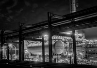 _DSC7561