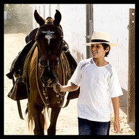 Caballo Peruano de Paso