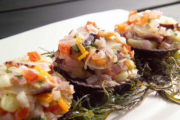 pulpo al olivar@@