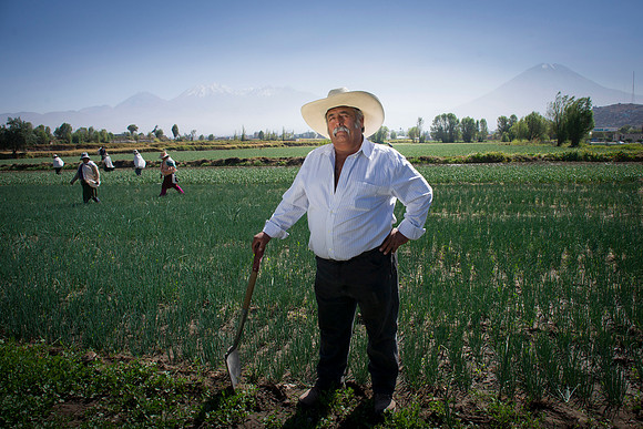 Juan Viacava Fotografía