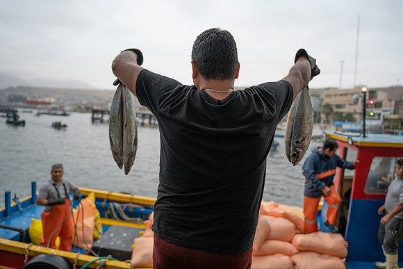DSC00028