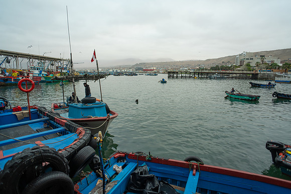 DSC08683