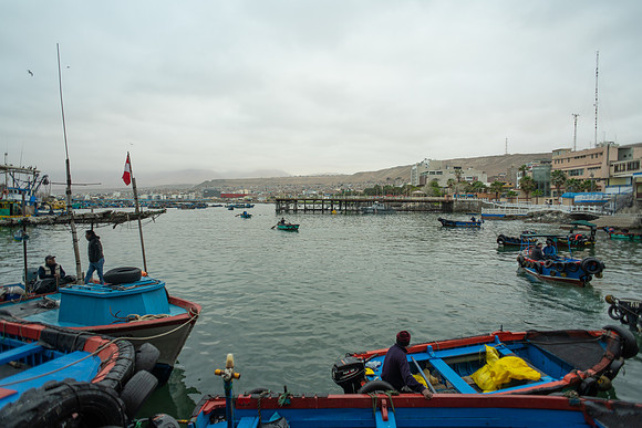 DSC08694