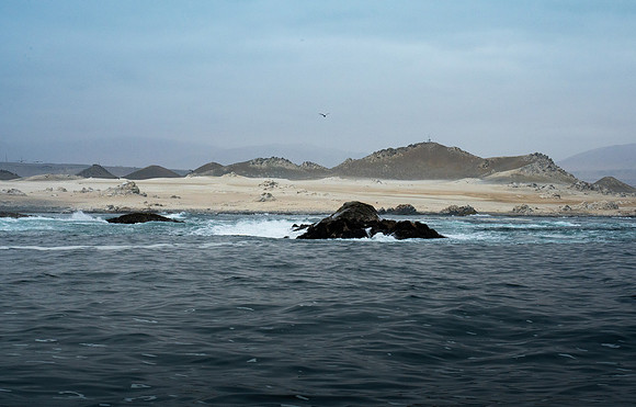 DSC00080