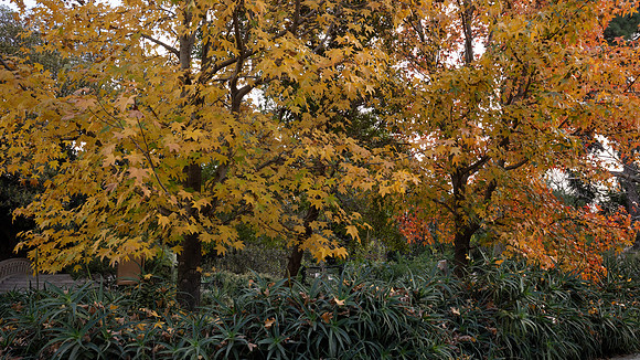 _DSC0290
