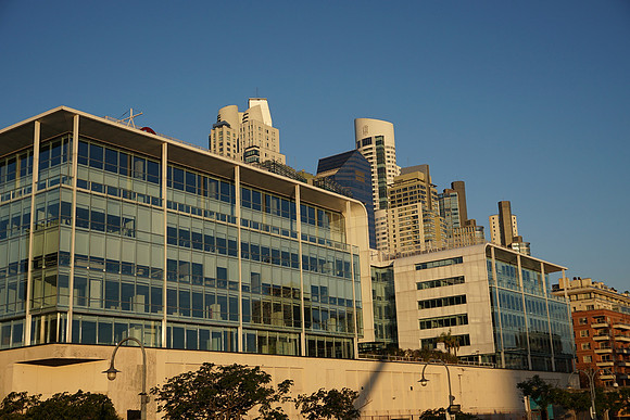 DSC03985