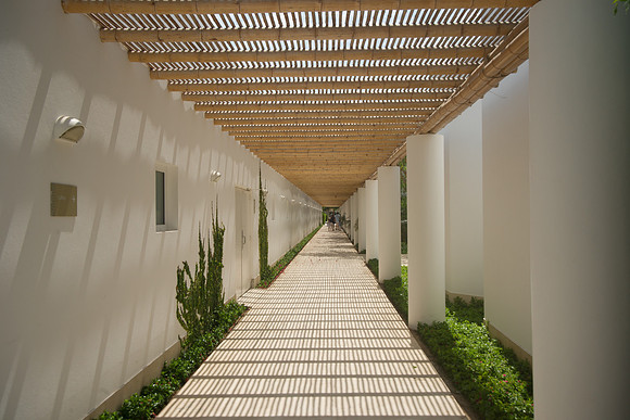 LUXURY PARACAS