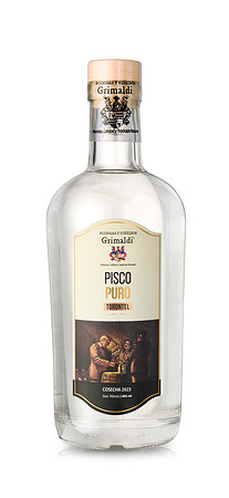 PISCO G TORONTEL 11624