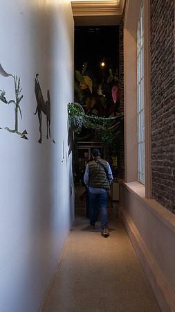 _DSC0218
