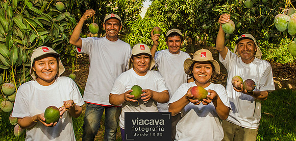 DOMINUS AGRO INDUSTRIAL