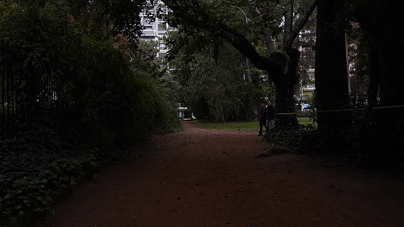 _DSC0201