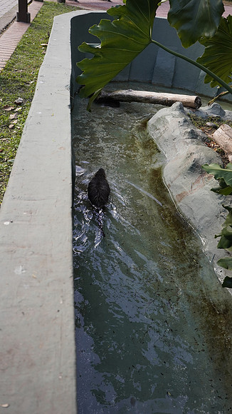 _DSC0277