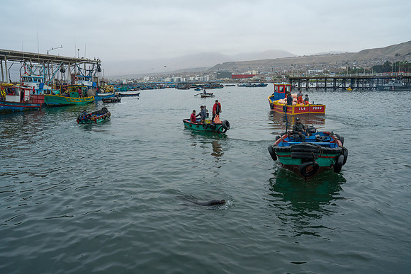 DSC00034