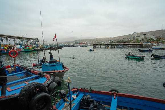 DSC08681