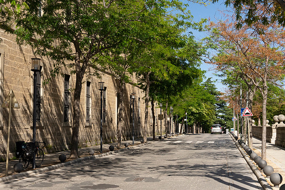DSC05018