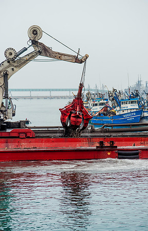 _DSC0290
