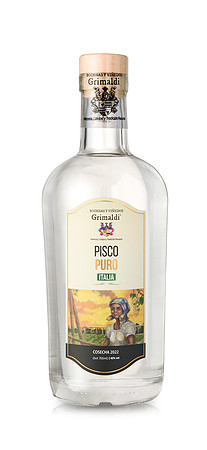 PISCO G ITALIA 11624