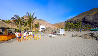 _DSC0398