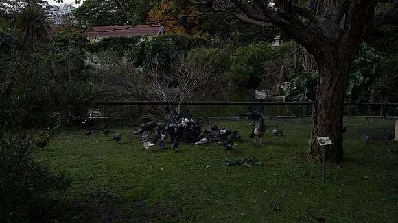 _DSC0304