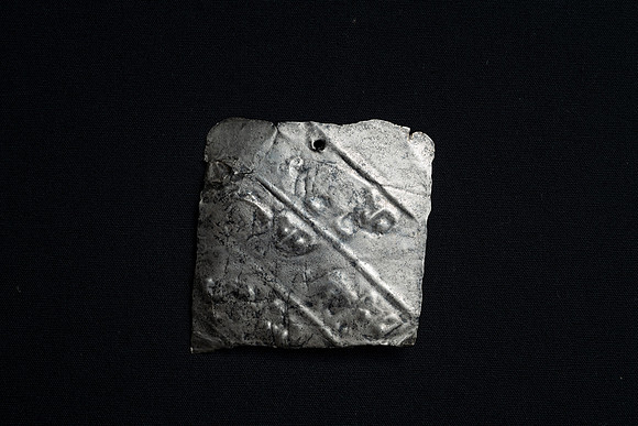 DSC00481