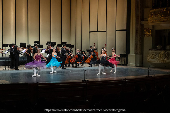 DSC02781