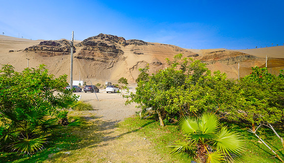 _DSC0405