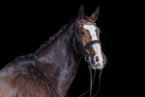 A 40 x60 DSC09954