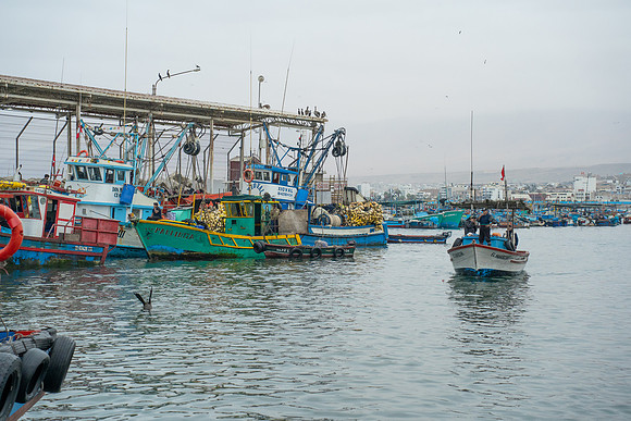 DSC00052