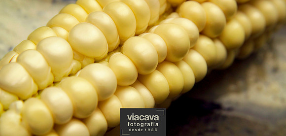 @Viacava Fotografía