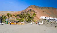 _DSC0394